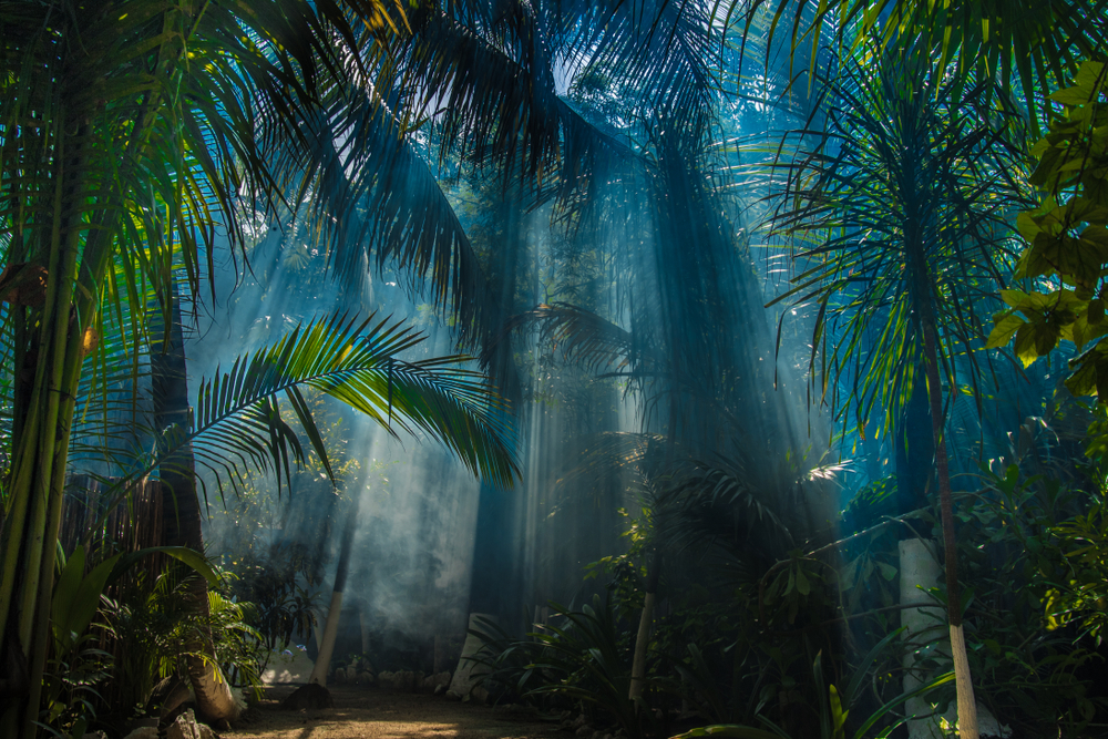 shutterstock-772247641