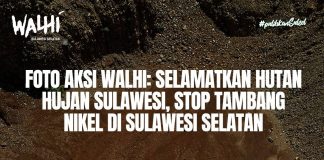 Selamatkan Hutan Hujan Sulawesi, Stop Tambang Nikel di Sulawesi Selatan