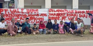 WALHI Sulsel Beberkan 3 Dampak Sosial-Lingkungan Tambang Nikel PT Vale Indonesia di Desa Asuli, Luwu Timur