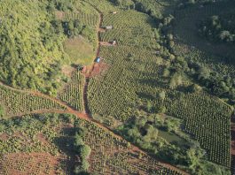 Air Mata Demi Mata Air: Cerita Masyarakat Loeha Raya Menolak Pertambangan PT Vale Indonesia di Tanamalia