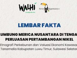 Lembar Fakta ‘Riset Lumbung Merica Nusantara di Tengah Perluasan Pertambangan Nikel PT Vale Indonesia di Blok Tanamalia’