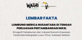 Lembar Fakta ‘Riset Lumbung Merica Nusantara di Tengah Perluasan Pertambangan Nikel PT Vale Indonesia di Blok Tanamalia’