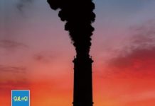 CATAHU SULOSI 2025: Kemenangan Kecil Melawan PLTU Captive, Memajukan Transisi Energidi Indonesia