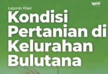 Laporan Riset Kondisi Pertanian di Kelurahan Bulutana