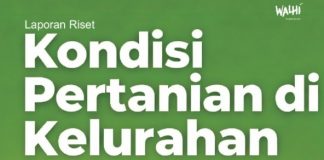 Laporan Riset Kondisi Pertanian di Kelurahan Bulutana