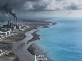 Buletin Fakta Ekologi Maret 2026 ‘Krisis Yang Mengalir, Dari Hulu Yang Tercemar Hingga Pesisir Yang Terancam Ekstraksi’