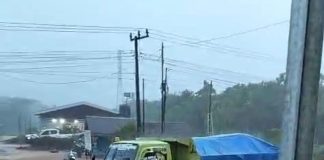 Banjir Lumpur Kembali Terjadi, WALHI Sulsel Desak Penghentian Aktivitas Tambang PT PUL di Luwu Timur